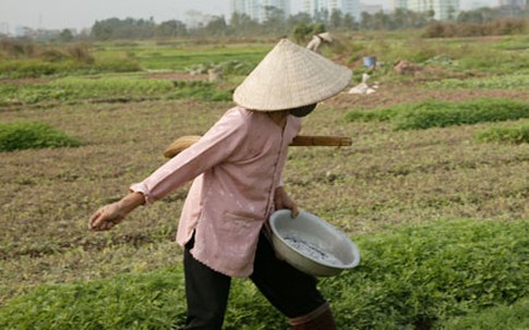 Ứng phó với thực trạng già hóa dân số: Già hóa đang "đe dọa" quỹ hưu trí?