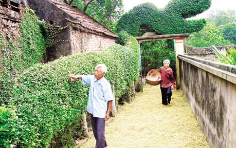 Chăm sóc, phát huy thế mạnh của người cao tuổi: 90 triệu và 9 triệu 