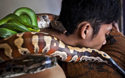 Rợn người xem massage bằng rắn "sung sướng trong sợ hãi"