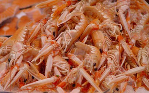 Lỗi dinh dưỡng mẹ hại con “lùn tịt”