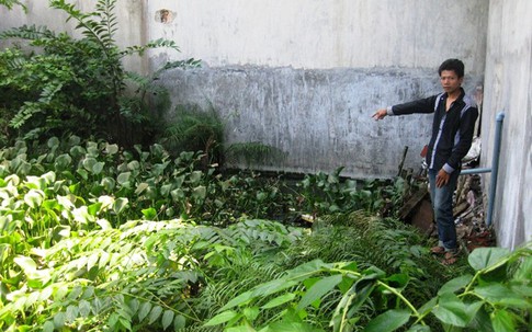 Nghi án bé trai 3 tuổi bị bắt cóc, giết hại dã man ở Sài Gòn