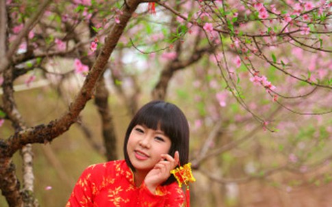 Tết đến sợ gì nhất?