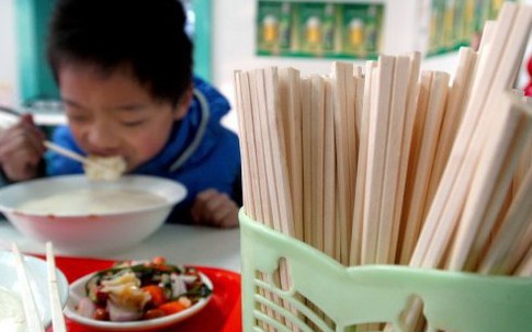 Chưa phát hiện chất độc trong đũa dùng một lần