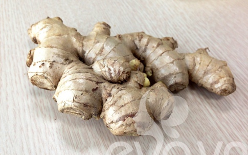 Mẹo phân biệt gừng ta, gừng Trung Quốc