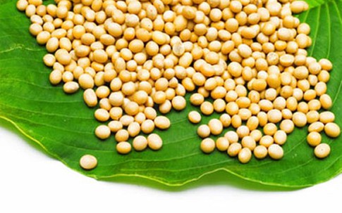 Công dụng tuyệt vời của một số chất với sức khỏe bé
