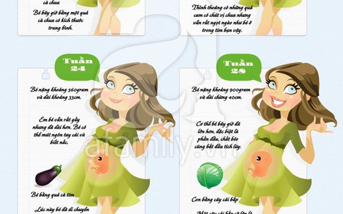 Nhật ký mang bầu bằng hình ảnh cực dễ thương