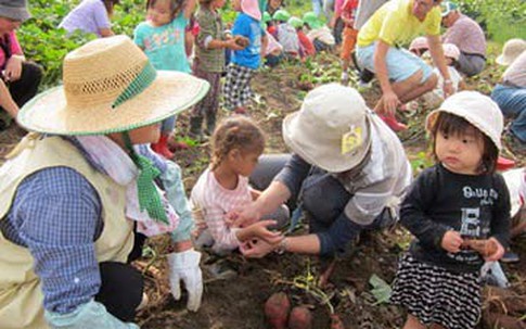 Bí kíp dạy con 'mát tay' của mẹ Nhật