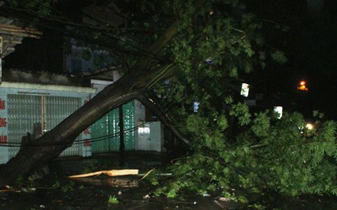 Bão càn quét từ Hải Phòng tới Hà Tĩnh, miền Bắc mưa lớn