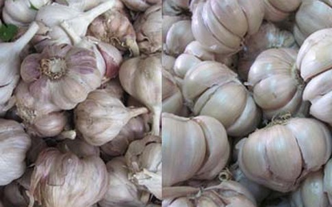 5 loại thực phẩm nên ăn nhiều vào mùa thu