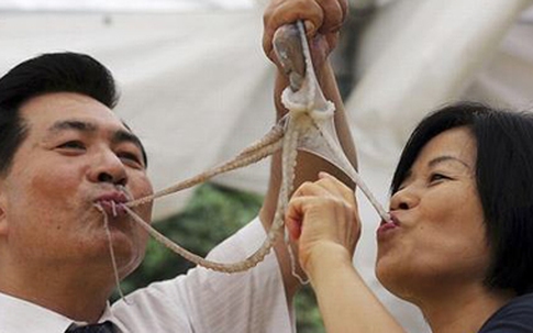 Rùng mình cảnh nhai ngấu nghiến bạch tuộc sống