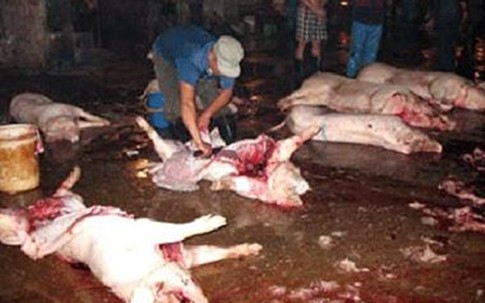 Dân Hà Nội ăn thịt heo bẩn, người Sài Gòn xài mắm cá hóa chất