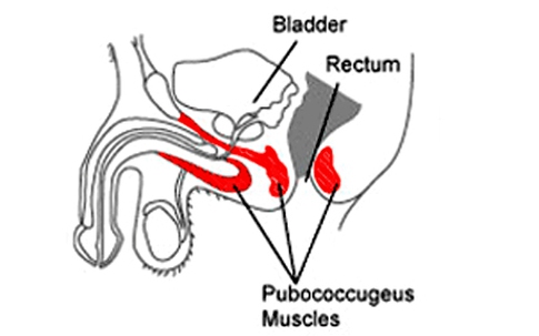 Bài tập Kegel giúp "chuyện ấy" thăng hoa