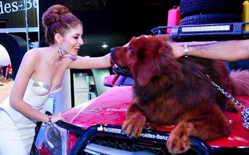 Andrea đẹp rạng ngời trở lại sau sandal bị đánh