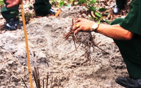 Sẽ giám định ADN 9 bộ hài cốt được nhà ngoại cảm tìm thấy ở Quảng Trị