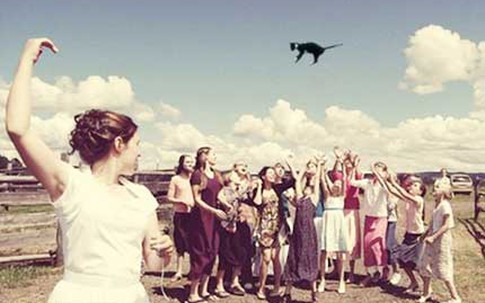 "Ném mèo" thay hoa trong ngày cưới