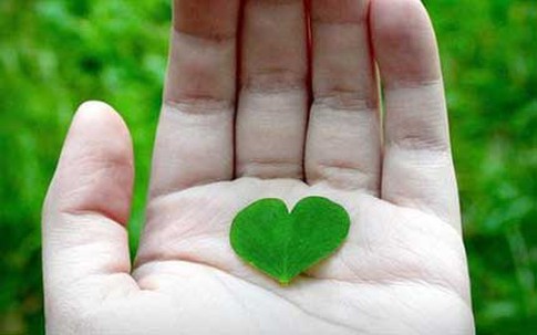 Bài học ý nghĩa của người thợ xây