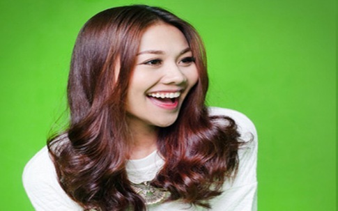 Những sao tỏa sáng trên 'bầu trời' showbiz Việt 2013
