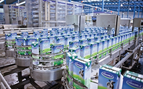 Xuất khẩu sữa Vinamilk tăng trưởng bình quân 62% 