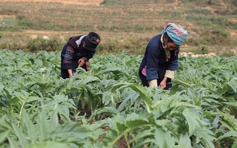 Rượu bia và những nguy hại cho đàn ông Việt