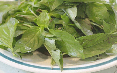Các loại rau thơm có tác dụng chữa bệnh