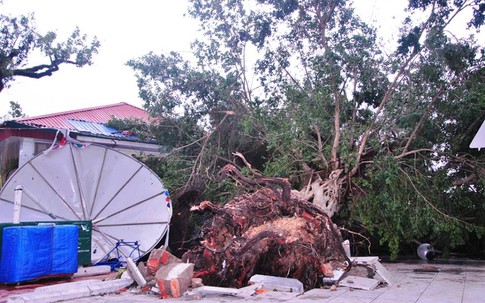 Bão Haiyan không gây thiệt hại về người ở Hải Phòng, Quảng Ninh