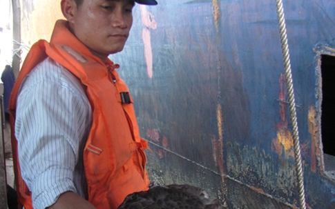 Bốn thợ lặn tử vong do công ty trục vớt chủ quan?