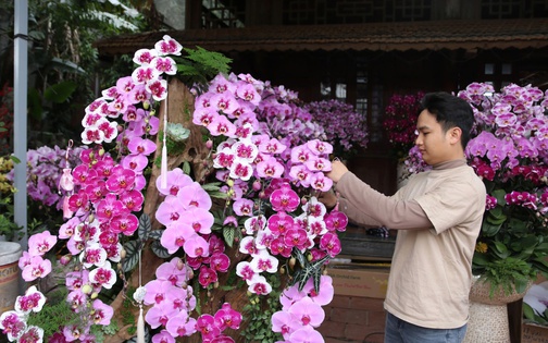 'Hái ra tiền' nghề cắm hoa Tết, cao điểm thu 4-5 triệu đồng/ngày