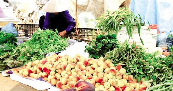 Rau bò khai có giá bán như thế nào và tại sao nó được nhiều bà nội trợ săn lùng?
