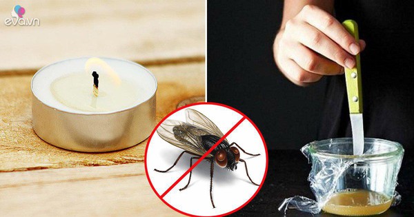 cách diệt nhặng trong nhà