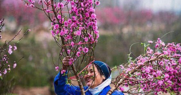 tháng 2 có bao nhiêu ngày