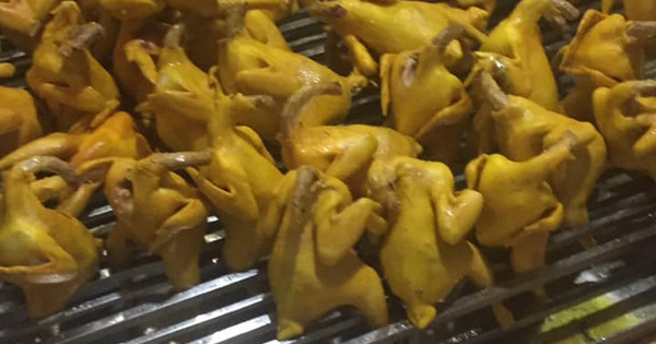 Hướng dẫn Cách ăn gà ủ muối Thái Nguyên theo phong cách độc đáo và hấp dẫn