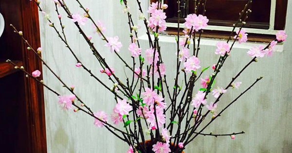 800+ Cắm hoa đào đẹp Nhập khẩu từ Nhật Bản