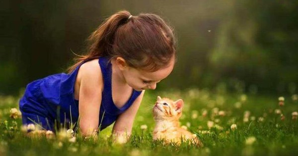 Thấy con không thích tiếp xúc, yếu về kỹ năng xã hội, bố mẹ hãy cải thiện ngay bằng 3 cách cực kỳ hữu ích này