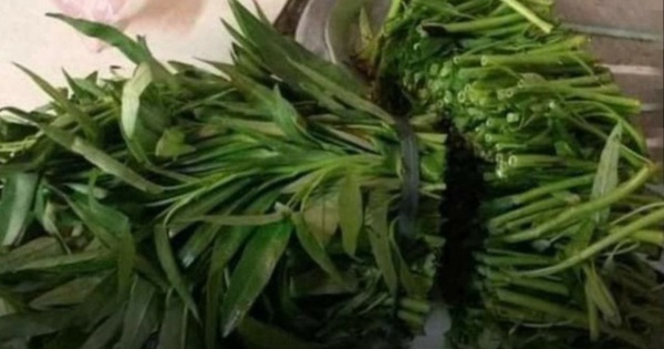 Cô gái “chặt” rau muống khi ra mắt nhà bạn trai, bị đuổi khéo “về kẻo muộn”