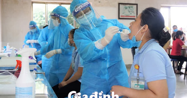 Hải Phòng xét nghiệm sàng lọc cho chuyên gia và công nhân trong các KCN