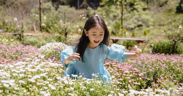 Con gái Hà Kiều Anh càng lớn càng xinh