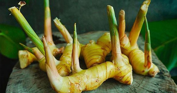 3 loại thực phẩm ngon rẻ giàu canxi và vitamin bậc nhất, bác sĩ khuyên nên ăn nhiều để không lo mắc bệnh xương khớp - Vimarsana News