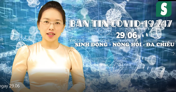 BẢN TIN COVID-19 247 ngày 29/6: Hành trình ngoạn mục cứu bệnh nhân COVID-19 nguy kịch thứ 20 trở về với sự sống