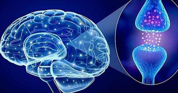 Sản phẩm thảo dược giúp cải thiện rối loạn thần kinh thực vật: Hướng đi mới được nhiều người lựa chọn - Vimarsana News