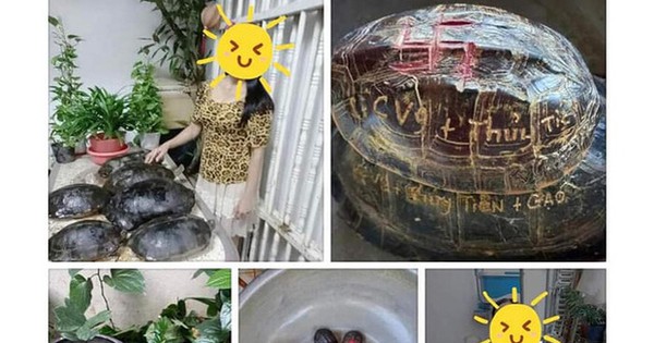 Tên Thuỷ Tiên và Công Vinh được khắc lên mai rùa phóng sinh, cư dân mạng chỉ trích vì hành động gây nguy hiểm tới loài vật này - Vimarsana News