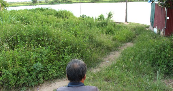 Linh cảm bất an của người cha già có con trai bị sát hại khi đi đòi nợ ở Hải Dương - Vimarsana News