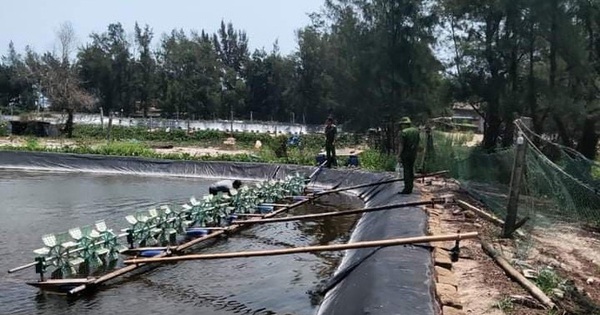 Bình Định: Cha ngã quỵ khi phát hiện 2 con gái chết đuối dưới hồ nuôi tôm của gia đình - Vimarsana News