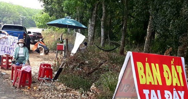 Sốt đất 'xì hơi', nhà đầu tư 'bỏ cọc chạy lấy người' - Vimarsana News