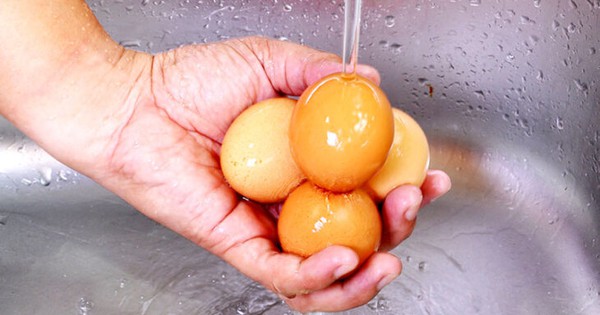 Những sai lầm khi dùng tủ lạnh mà người Việt cần bỏ ngay kẻo rước cả ổ bệnh cho gia đình - Vimarsana News