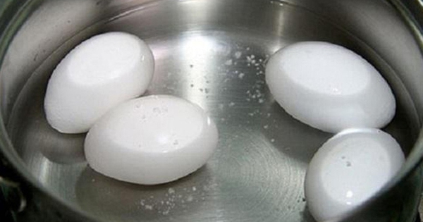6 loại nước bạn đừng nên bỏ phí mà hãy dùng tưới cây ngay, đảm bảo cây lớn nhanh như thổi - Vimarsana News
