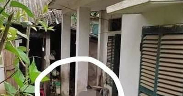 Cụ bà 90 tuổi bị giết hại tại nhà riêng ở xã Quài Nưa, Tuần Giáo, Điện Biên - Vimarsana News