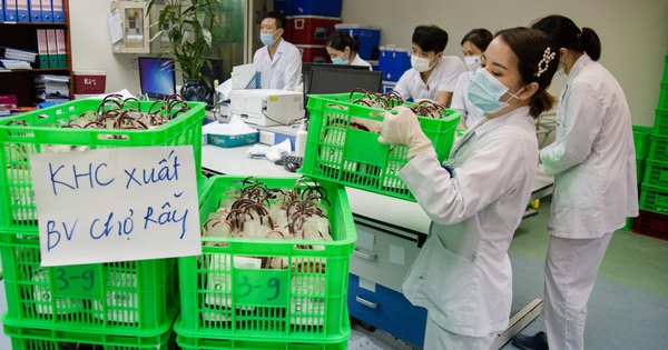 Hà Nội chi viện gấp 1.000 đơn vị máu cho Bệnh viện Chợ Rẫy TP HCM