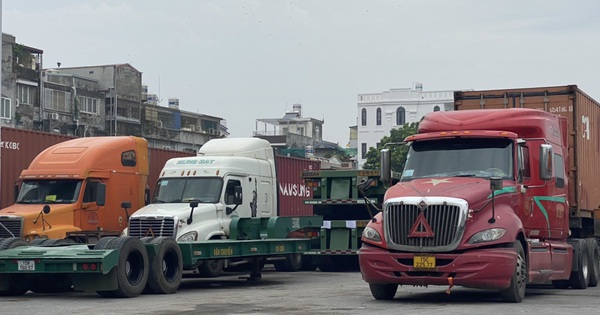 Hải Phòng ghi nhận 1 lái xe container dương tính với SARS-CoV-2
