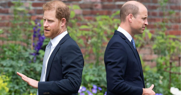 Harry về Mỹ với vợ con, truyền thông phân tích chi tiết chua chát của 2 hoàng tử trong lễ tưởng niệm Công nương Diana - Vimarsana News