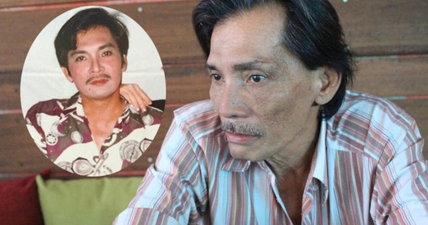 Soqollanmagan mushuklar yaqindan